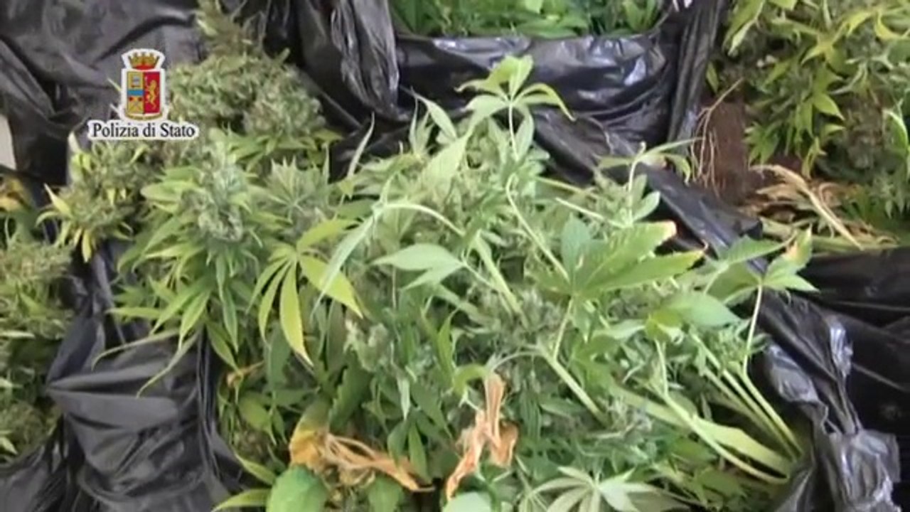 Palermo - controlli allo Zen, due arresti della Polizia per droga e armi