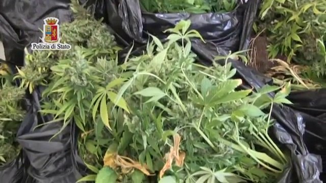 Palermo - controlli allo Zen, due arresti della Polizia per droga e armi