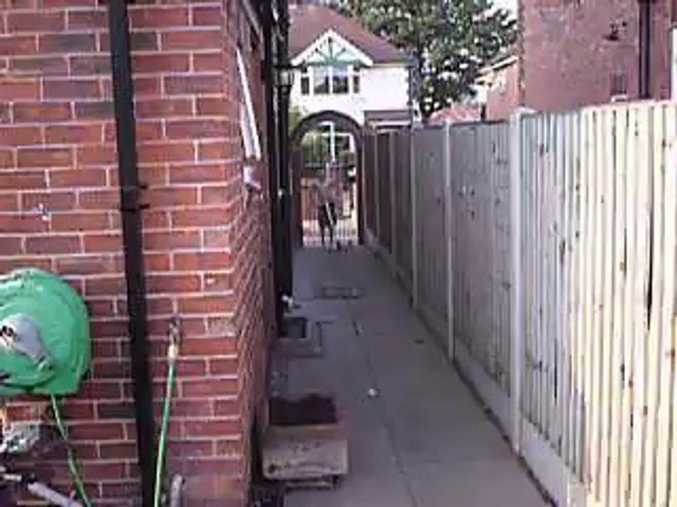 speedy shaun 01