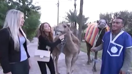 Nabilla Benattia vous souhaite un bonne rentrée en bikini