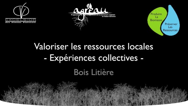 De la paille au bois, le bocage valorisé pour la litière