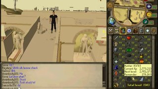PlayerUp.com - Buy Sell Accounts - selling runescape account 126 combat