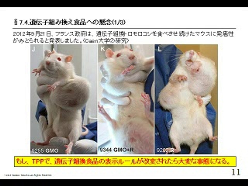 【TPPに激震】(3/4)中国が遺伝子組み換え作物禁止に政策転換【豪州に大チャンス】