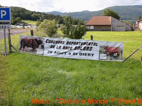 Salers Breeding VINCENT PESCHER, Contest at Saint Diery, France Auvergne