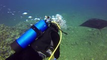 GoPro- Diving With Giant Manta Rays