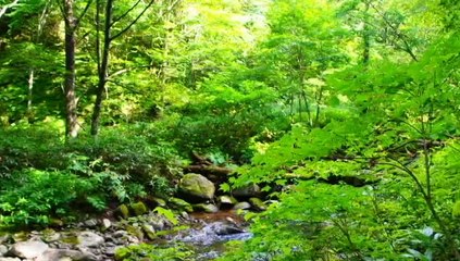 男三人BBQin旗坂キャンプ場