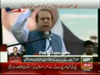 what is difference between  PMLN and PPP Government