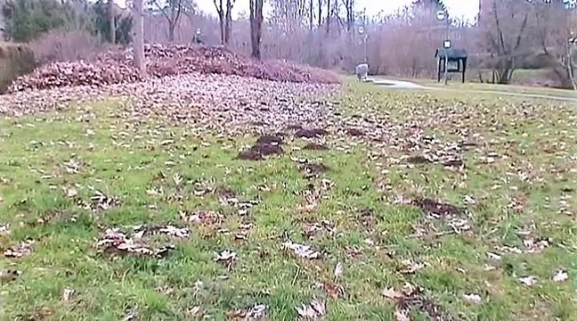 Auf großer Tour durch den VRS 2014-6