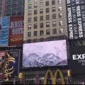 0Clarinha na Times Square New York USA 31-08