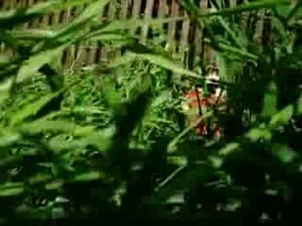 Bernd und sein leben