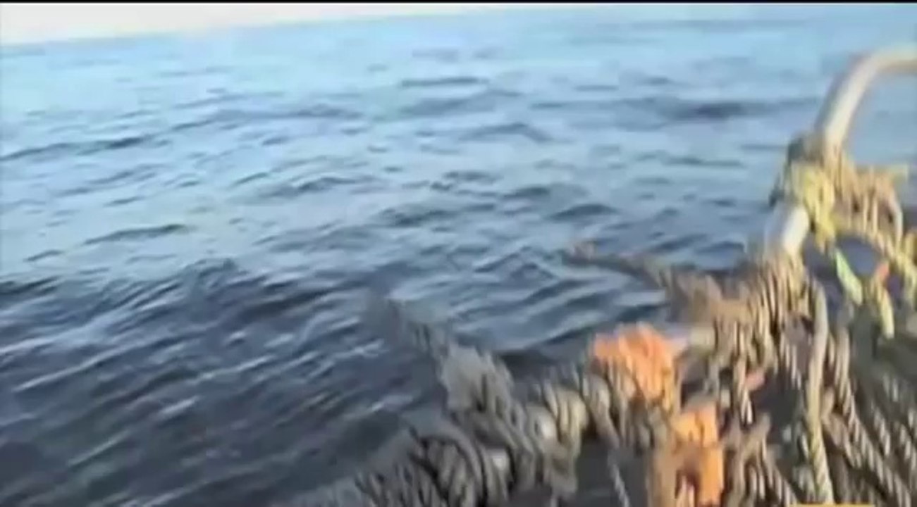 UFO caught on Camera