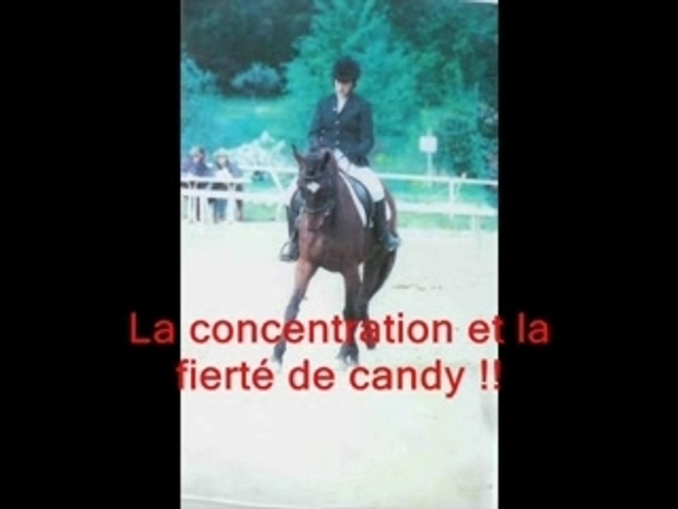 ma vie avec les chevaux