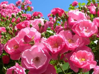 " Can't Take My Eyes Off You " - yukitoshi