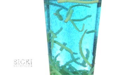 Dancing Spaghetti - Sick Science! #131