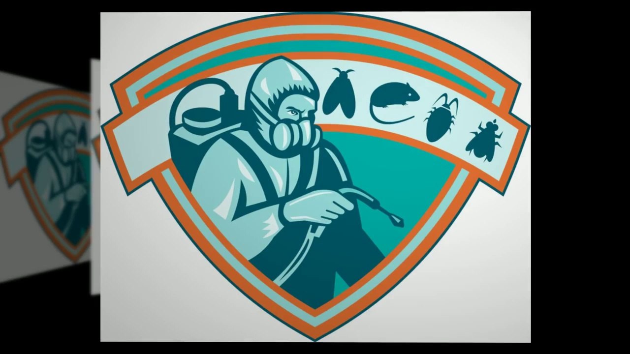 Pest Control Service Frisco TX | Call 214-919-0021