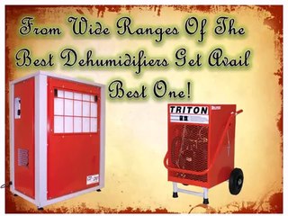 Things To Consider While Picking Up The Best Room Dehumidifiers For You!