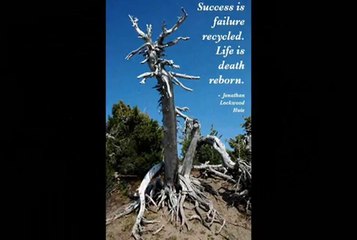 The Loss Of Loved Ones