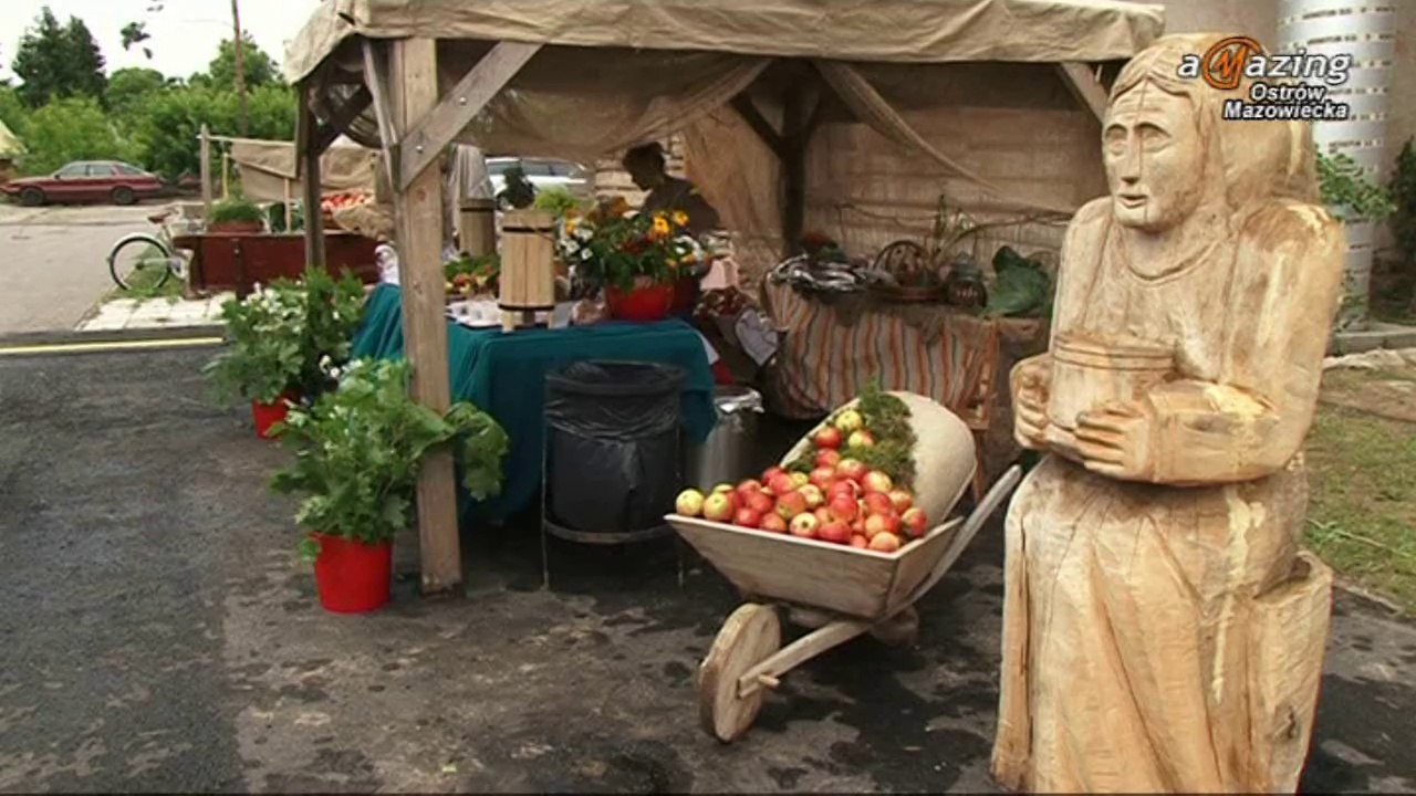 Kiermasz wyrobów i usług lokalnych LGD "Zielone Sioło" Ostrów Mazowiecka 2014