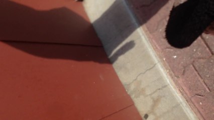 Vallon-en-Sully : protestation contre la fermeture de la gendarmerie