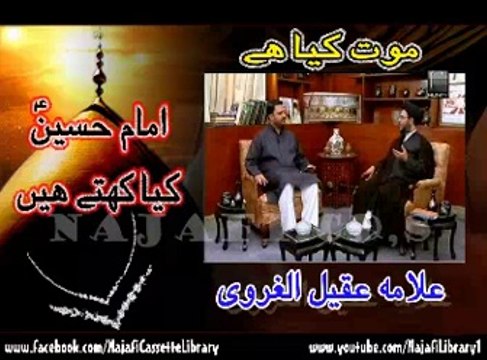 موت کیا ہے ۔۔۔ امام حسینؑ کیا کہتے ہیں؟ علامہ عقیل الغروی