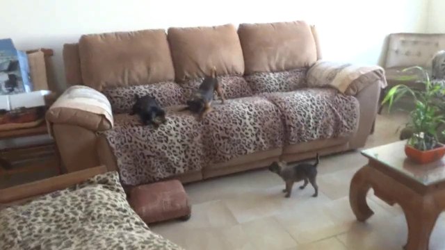 Dernier jour de jean... Последний день JEAN