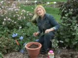 Osmocote Gardening Tip Repotting