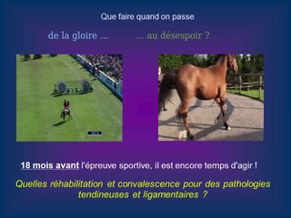 Lycée Louis Liard, Falaise