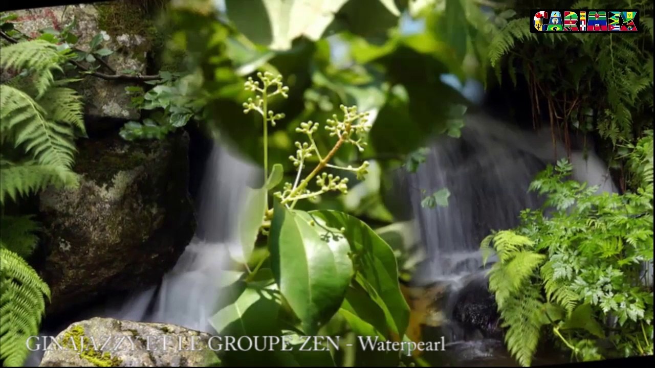 GINAJAZZY ET LE GROUPE ZEN - Waterpearl - Salon International de la Musique Caribéenne CARIMEX™