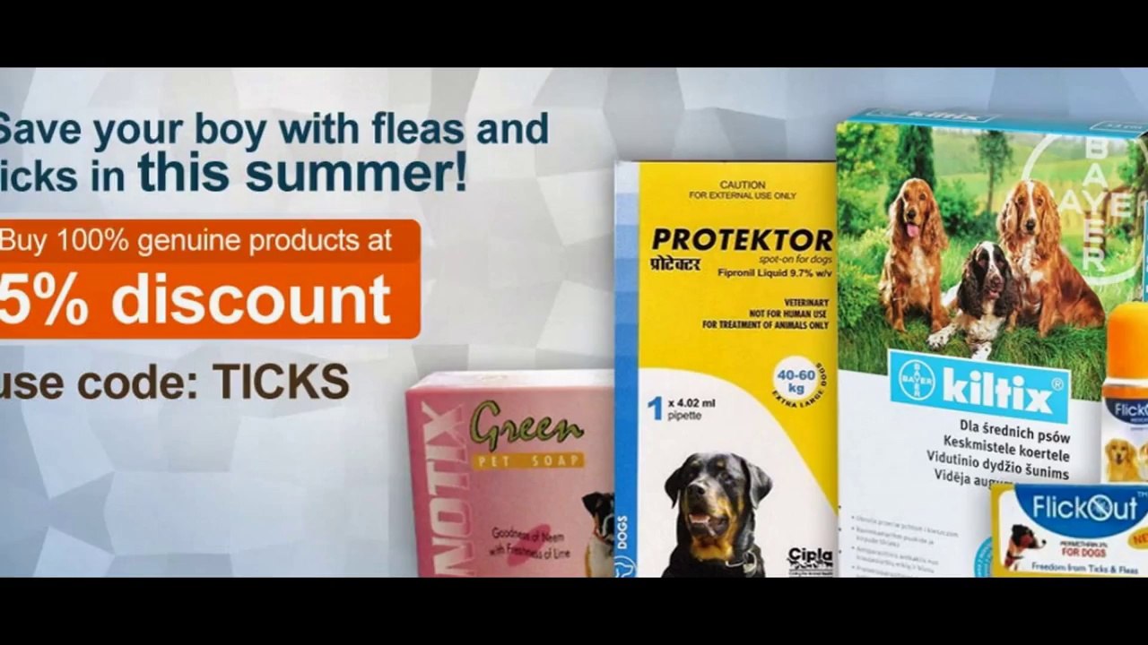 Buy Branded Dog Foods Online India @ moooou.com
