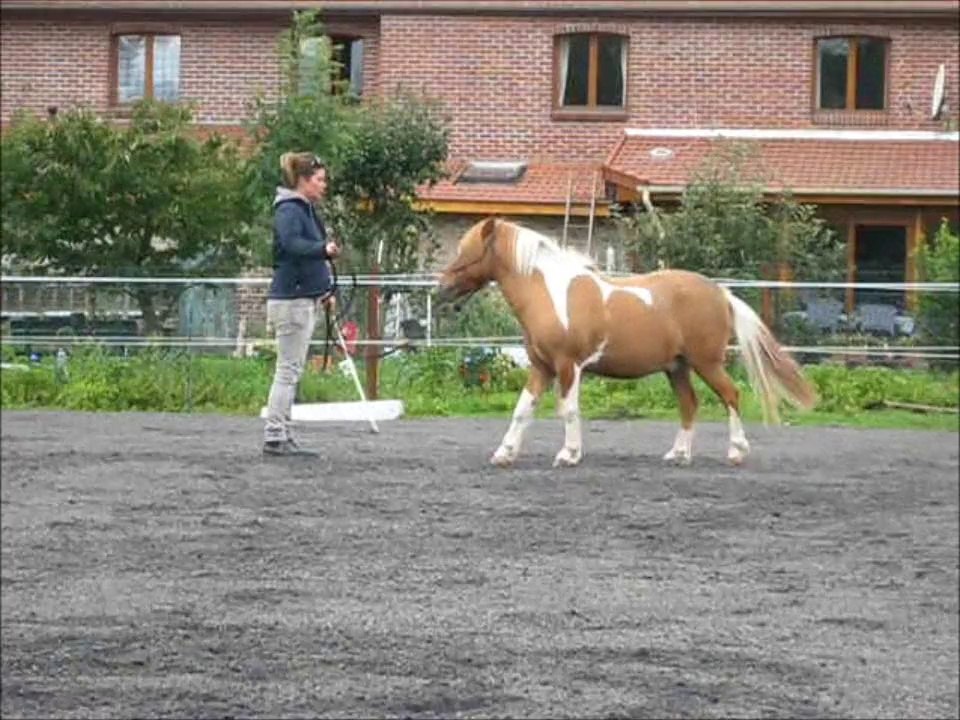 Stage avec Audrey GORY - 30/31 Août 2014