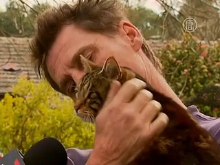 В Австралии кошка спасла хозяина от огня