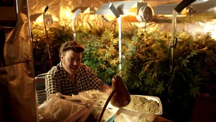 TRAILER PARK BOYS 3  Don t Legalize It  Trailer (Drug Comedy - 2014)