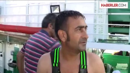 Kuzey Ege'de hamsi bolluğu