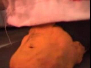 Film 3e - Saint-Sulpice - Syd Pingu