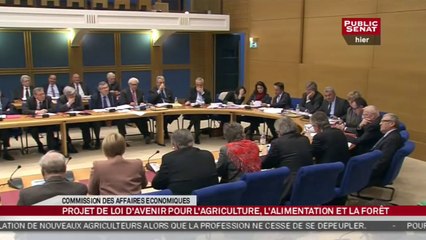 M. Stéphane Le Foll, ministre de l'agriculture, de l'agroalimentaireet de la forêt - Audition