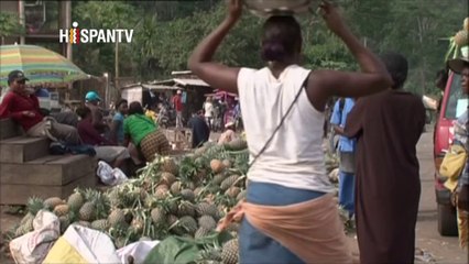 Protejamos África - Parte 2