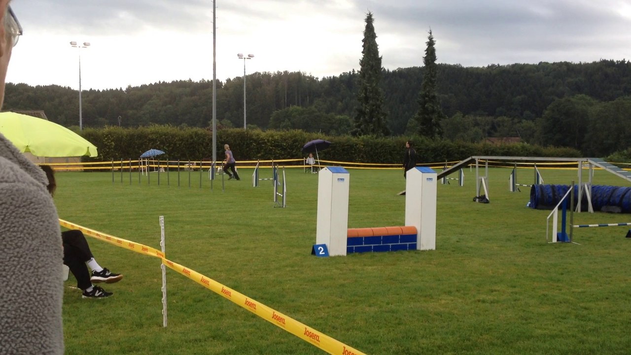 Open Forel Stella 2014