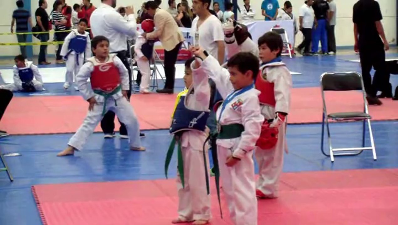 6 VDO APOYO TAEKWONDO