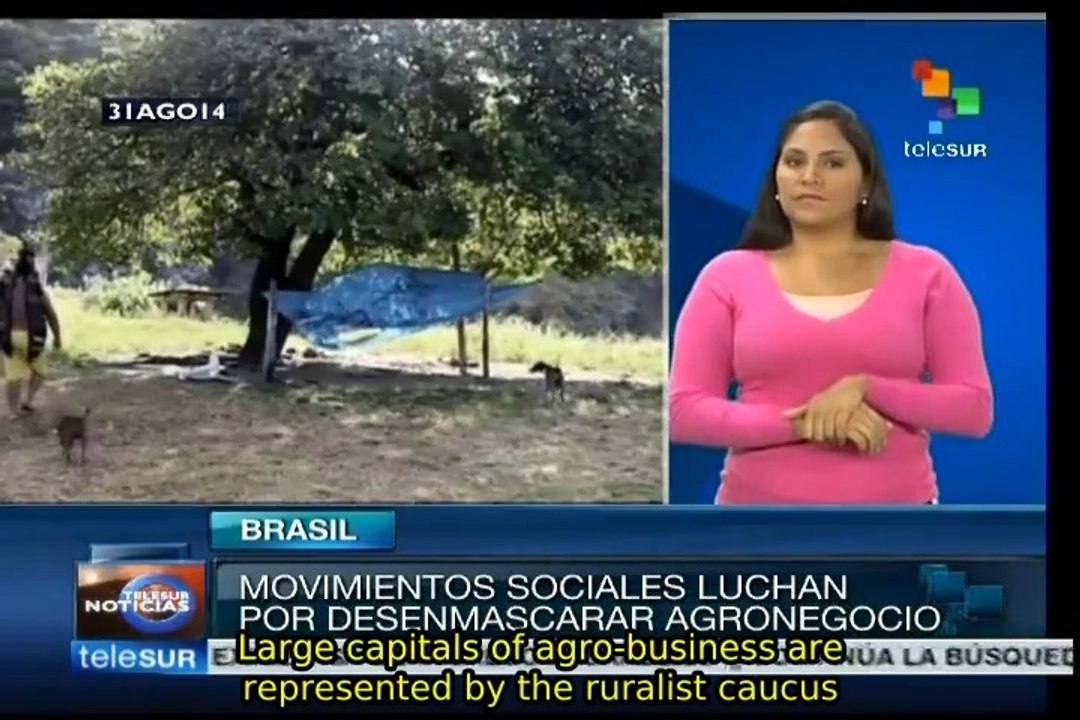 Brazilian NGOs accuse Silva of being financed by agro-business