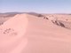 Les petites créatures du désert (Documentaire)