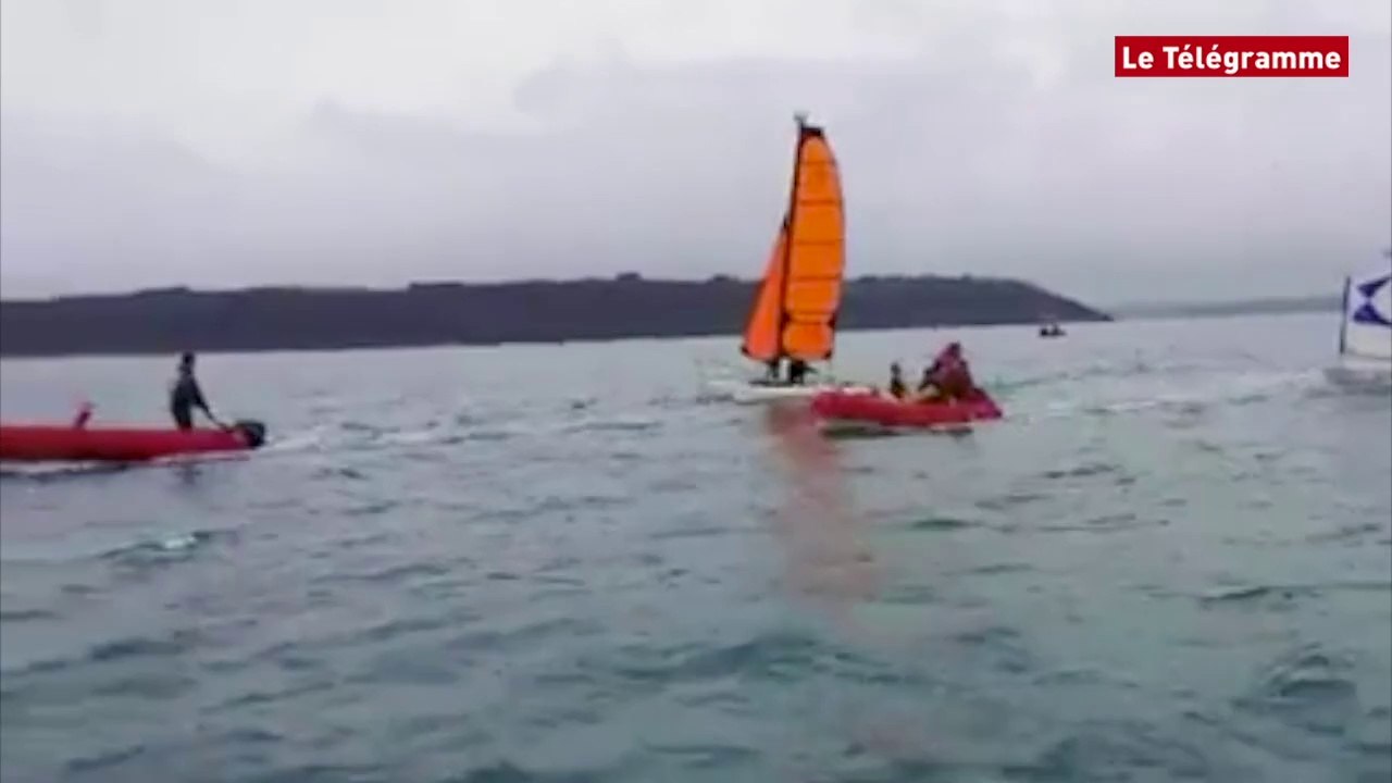Baie de Saint-Brieuc. Des dauphins s'amusent avec les plaisanciers