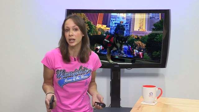 Review: iLuv Selfy Phone Case (iPhone, iPad & Galaxy S5) - GeekBeat Tips & Reviews