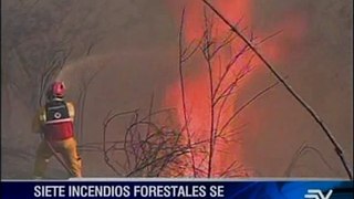 Incendios forestales, provocados por actividades humanas, no cesan