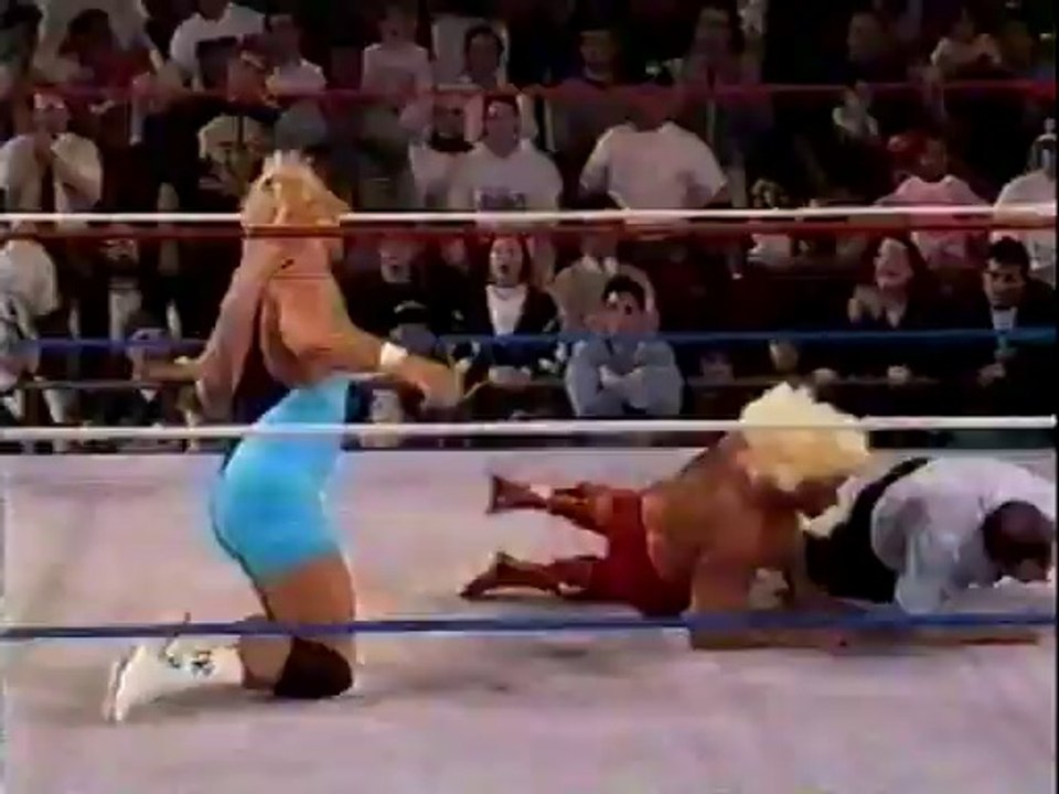 WWF Raw is War 1993-01-25