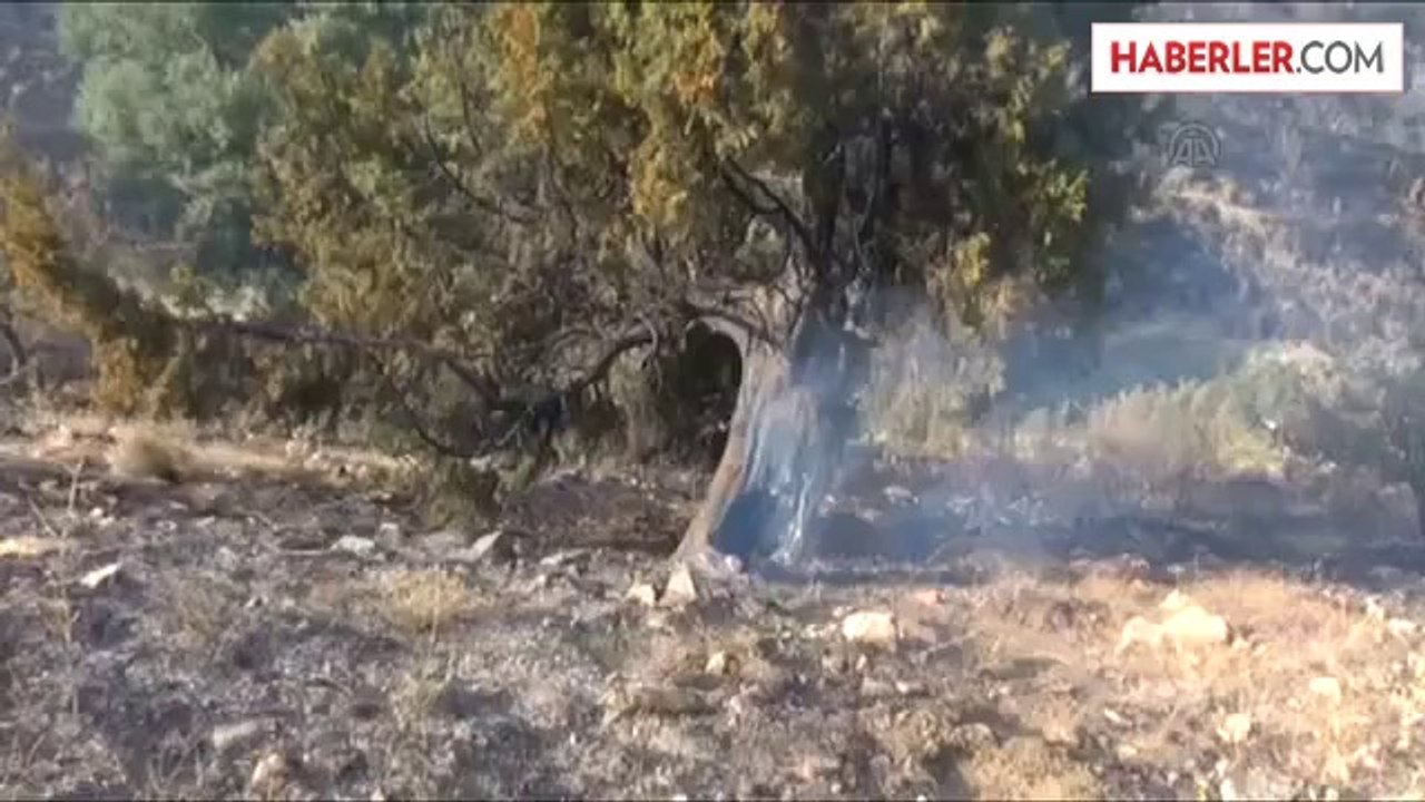 Afşin'de ormanlık alanda yangın