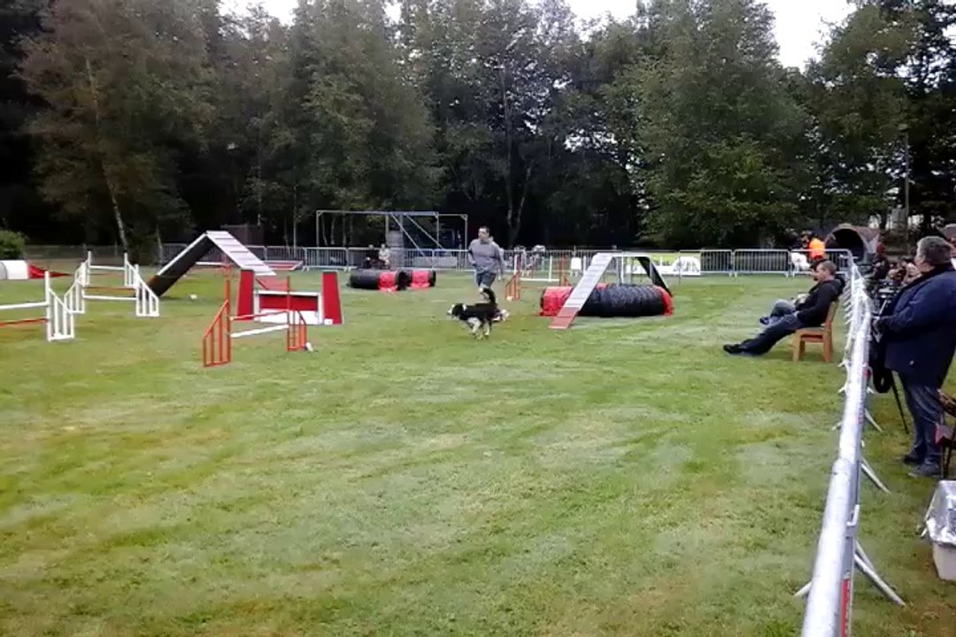 Concours Quimper 24/08/2014 - GPF