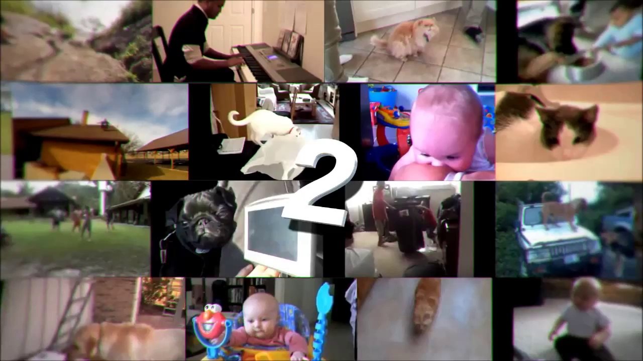 TOP 5 CAT VIDEOS #32.