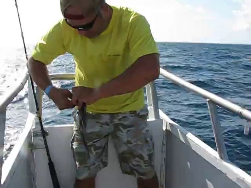 28 agustos benim yakaladigim Domuz baligi