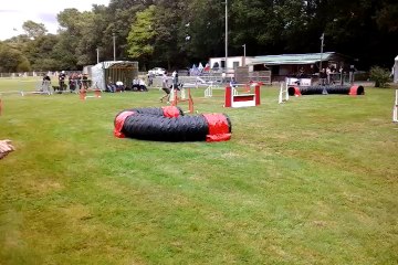 Concours Quimper 24/08/2014 - Jumping