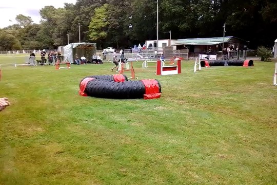 Concours Quimper 24/08/2014 - Jumping